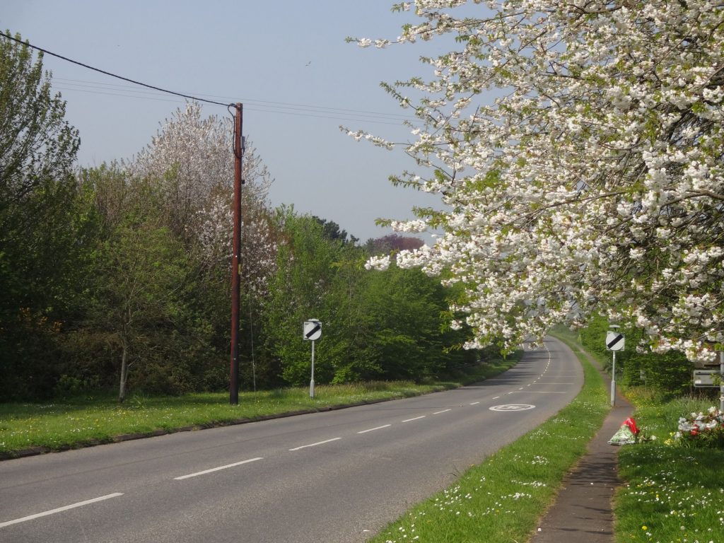 East Budliegh Road B3178