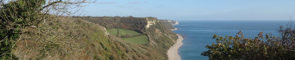 View from Salcombe